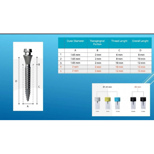 Mini screw  Titanium Braket başlı