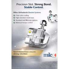 Mim Mesh Base Sandablasting Metal Brackets